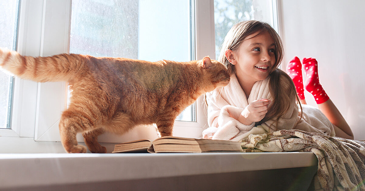 Winter Window Sealing: From DIY Solutions to Pearl Certification