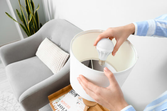 Adobe Stock 489095167