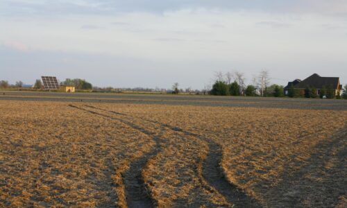 Solar panel installations on a large field.